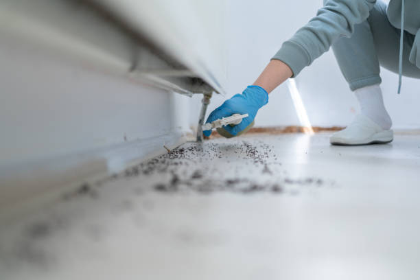 Professional Pest Control in Houghton, MI
